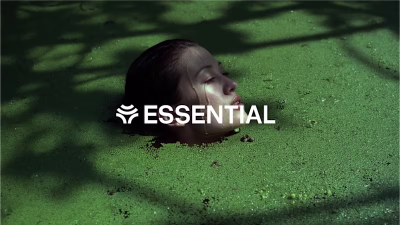 Cover image for Brand Identity Design for Essential
