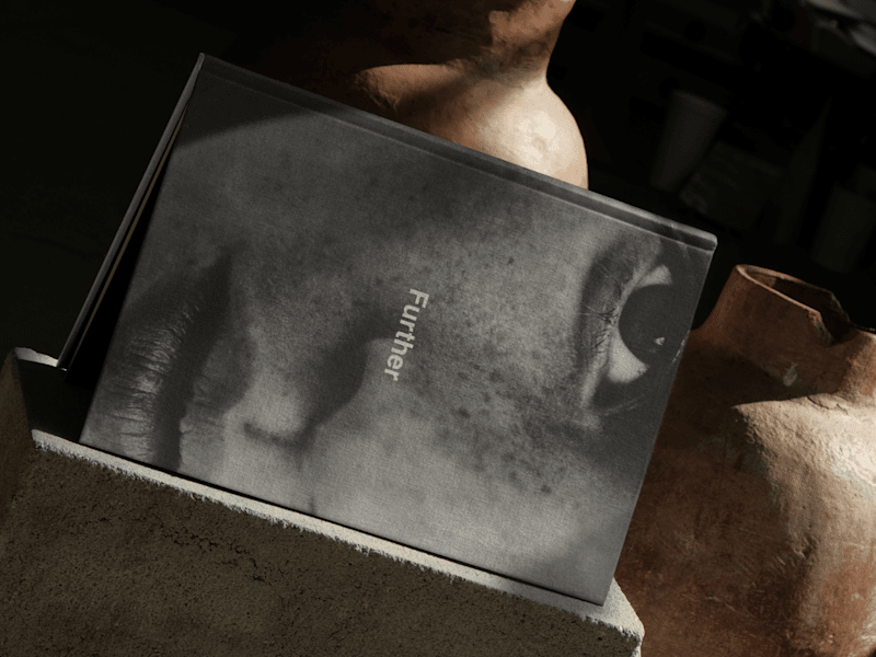 Cover image for Further Hotel