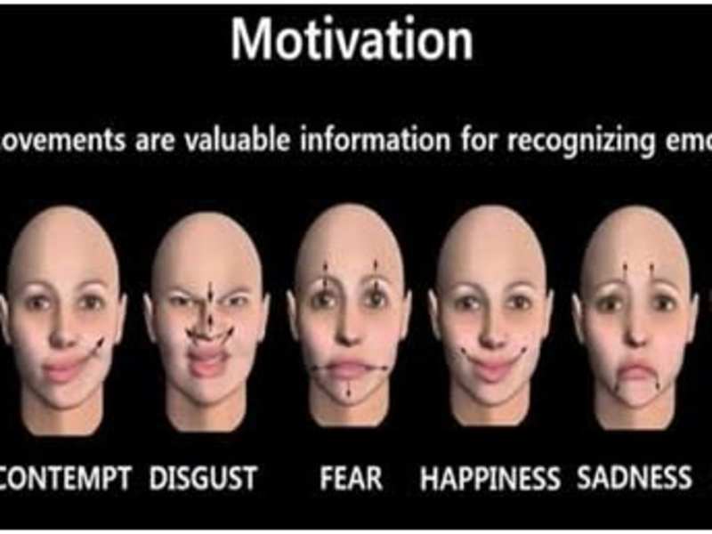 Cover image for Face detection and emotion recognition using camera 
