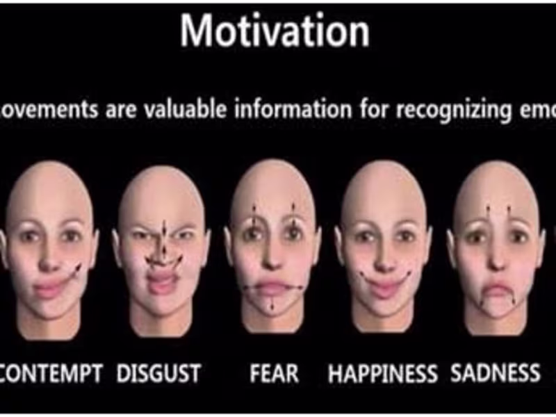 Cover image for Face detection and emotion recognition using camera 