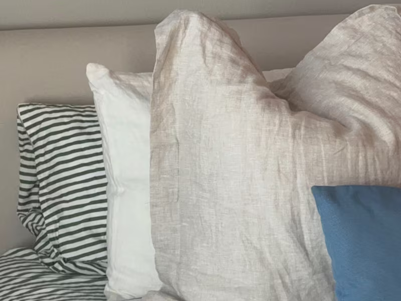 Cover image for TikTok Promotion for FluffCo