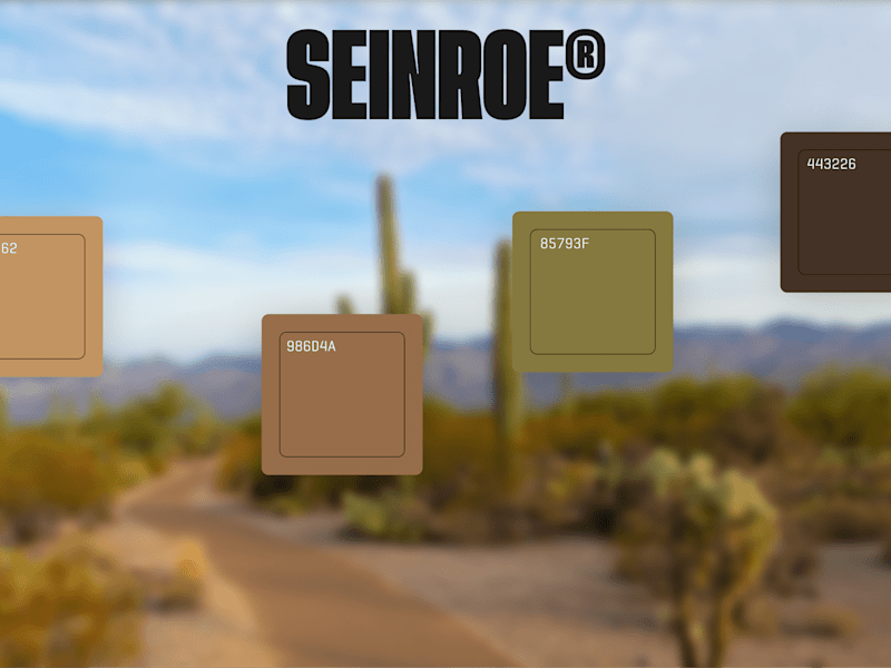 Cover image for Seinroe® Co. Rebrand - JECO