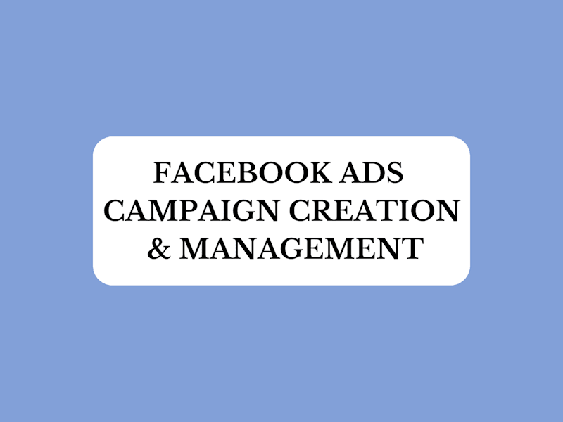 Cover image for Maximizing ROI through Facebook Ads