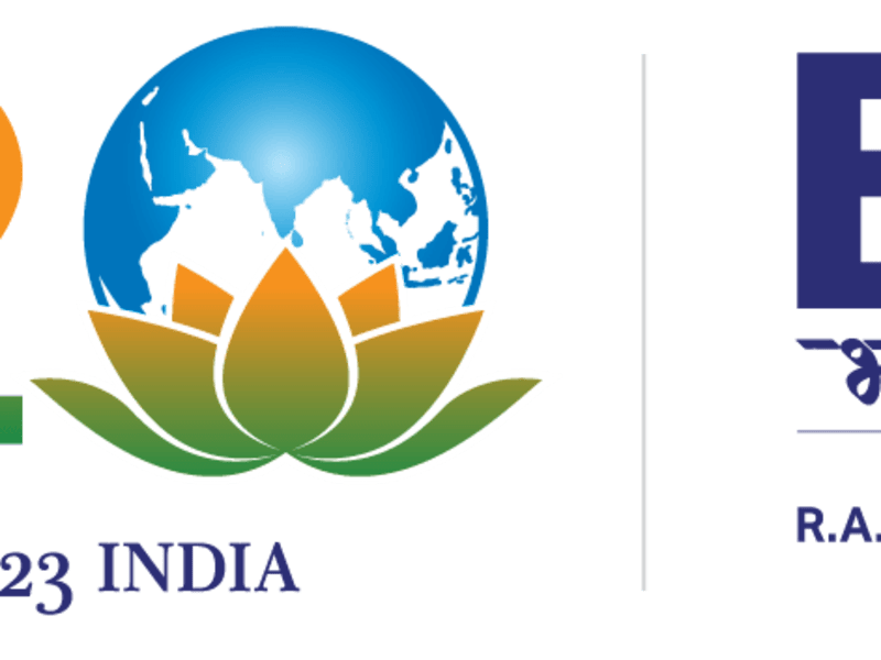 Cover image for B20 India