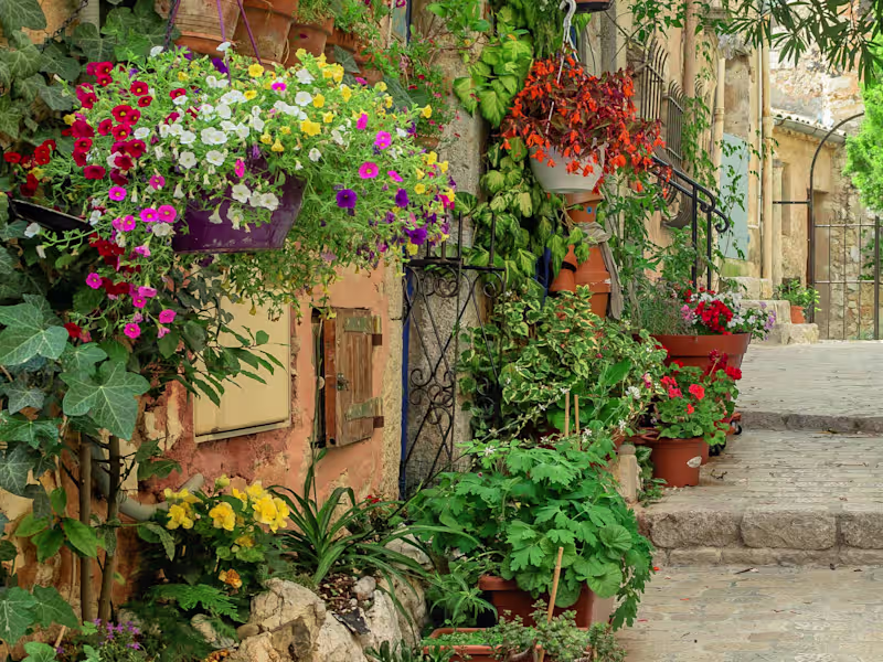 Cover image for The Secret Garden (Full Brand Design Identity)