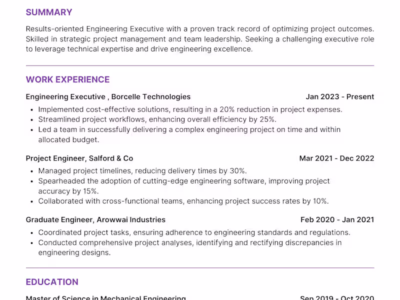 Cover image for Executive Resume and Cover Letter for Chief Financial Officer (C