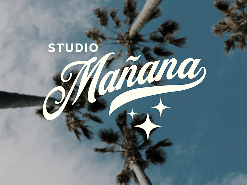 Cover image for I will create a stunning visual identity for your brand.