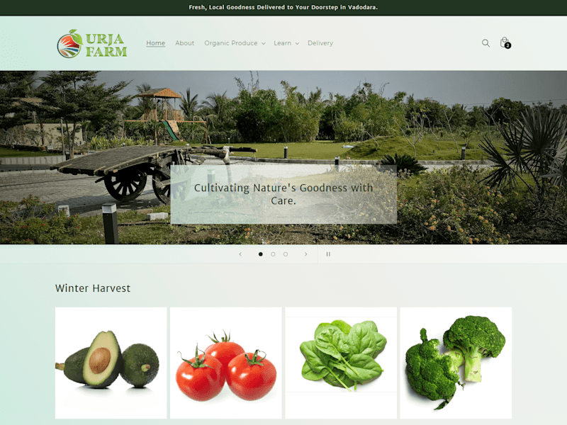 Cover image for Elevate Your Online Presence with Expert Web Design Services