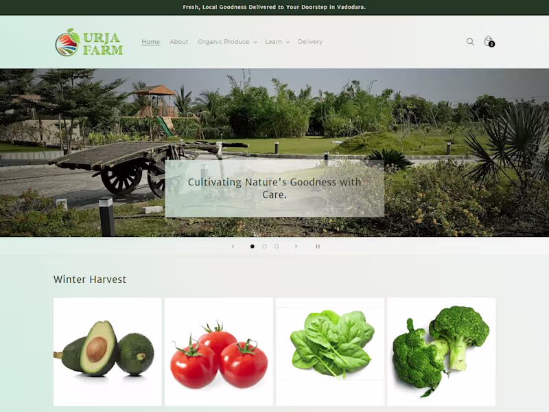 Cover image for Elevate Your Online Presence with Expert Web Design Services