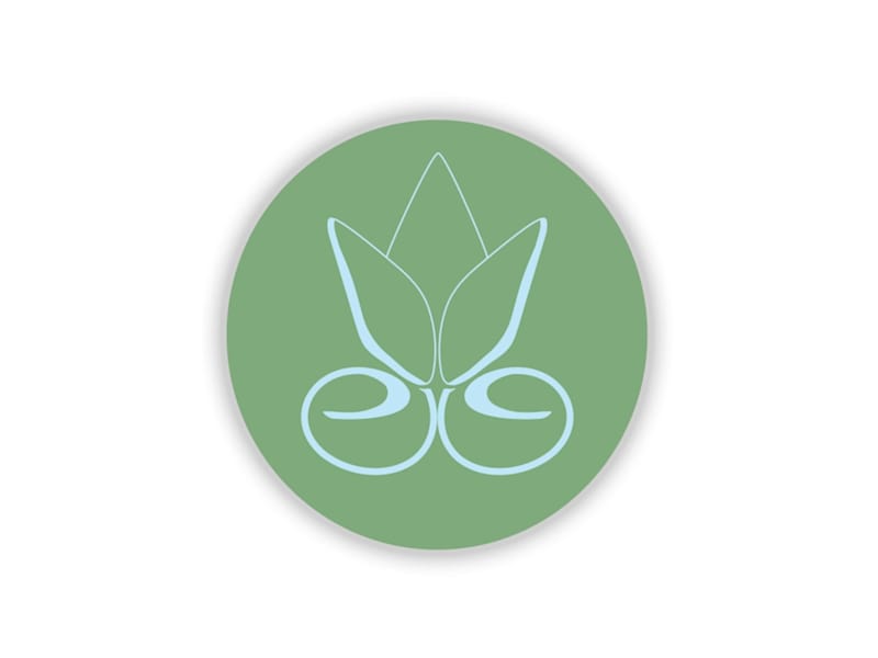 Cover image for BRAND DESIGN 02 : EARTH and ESSENCE