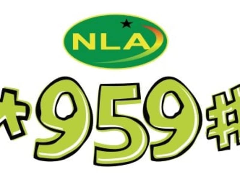 Cover image for The NLA590mobile Experience