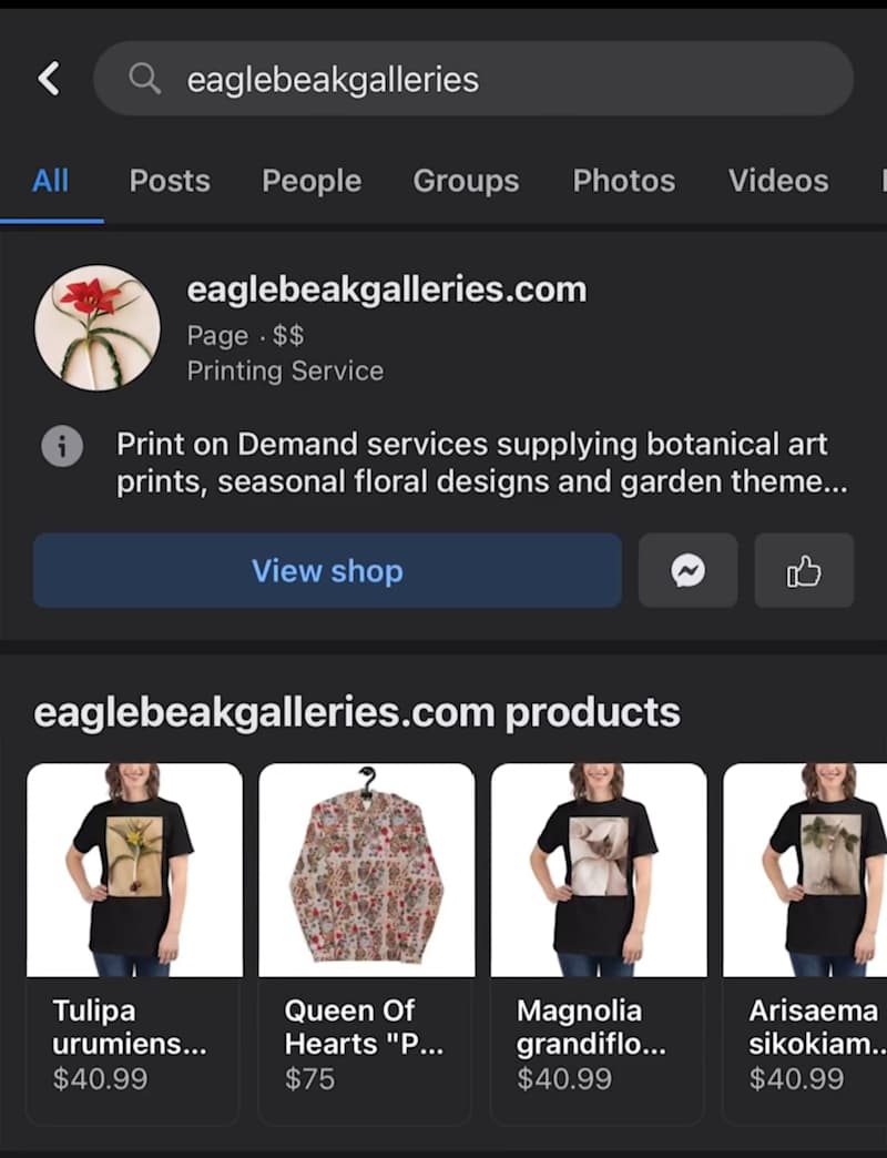 Cover image for Wordpress E-commerce Website Development