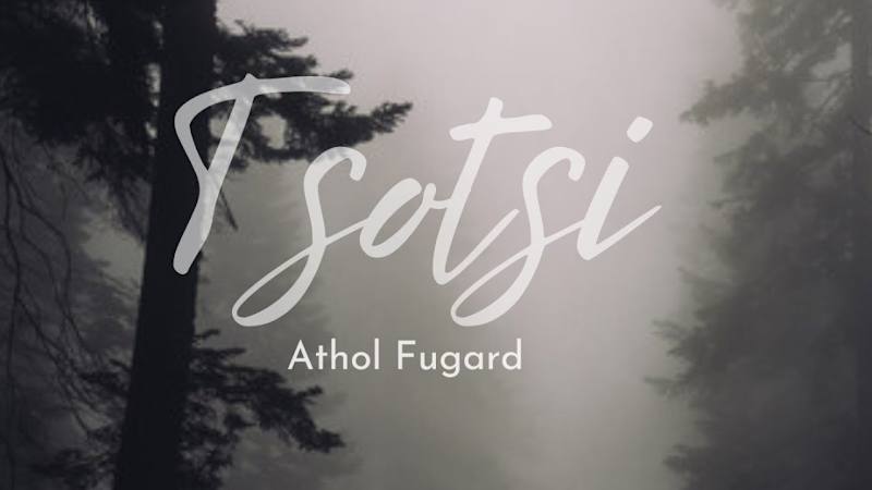 Cover image for "Tsotsi novel by Athol Fugard Summary & Analysis: A Journey of …