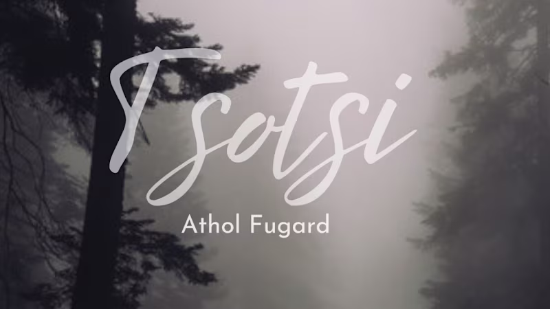 Cover image for "Tsotsi novel by Athol Fugard Summary & Analysis: A Journey of …