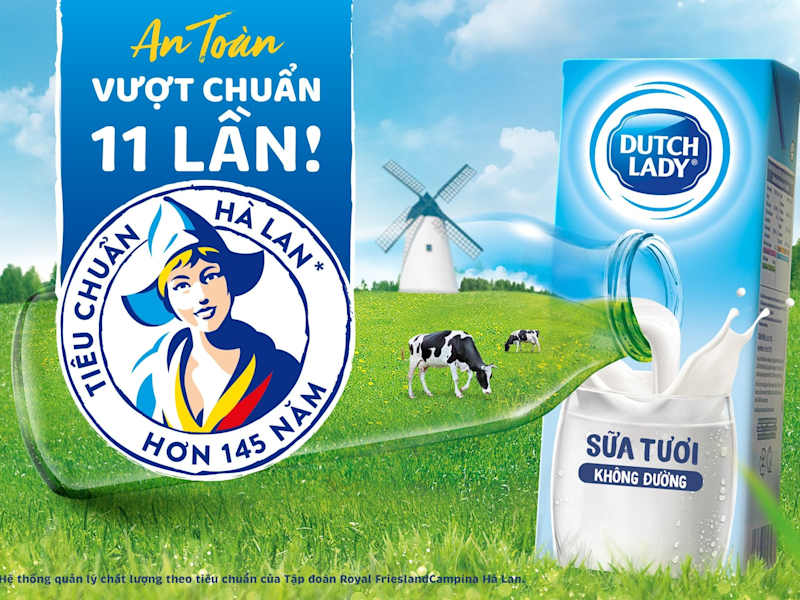 Cover image for Dutch Lady - Content Writer and Social Media