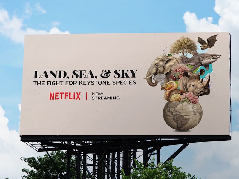 Cover image for Branding for Keystone Species Documentary