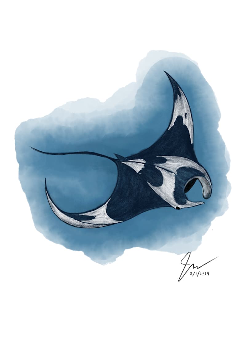 Cover image for The Ocean Life :: Behance