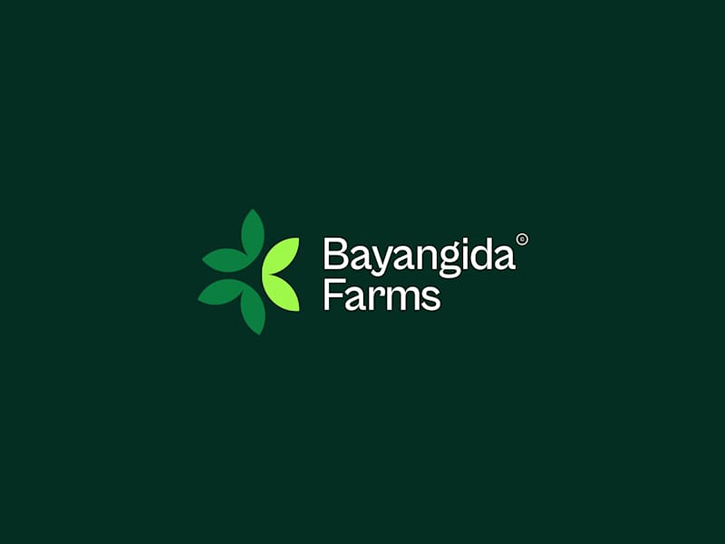 Cover image for Dynamic Logo Animation for Bayangida Farms