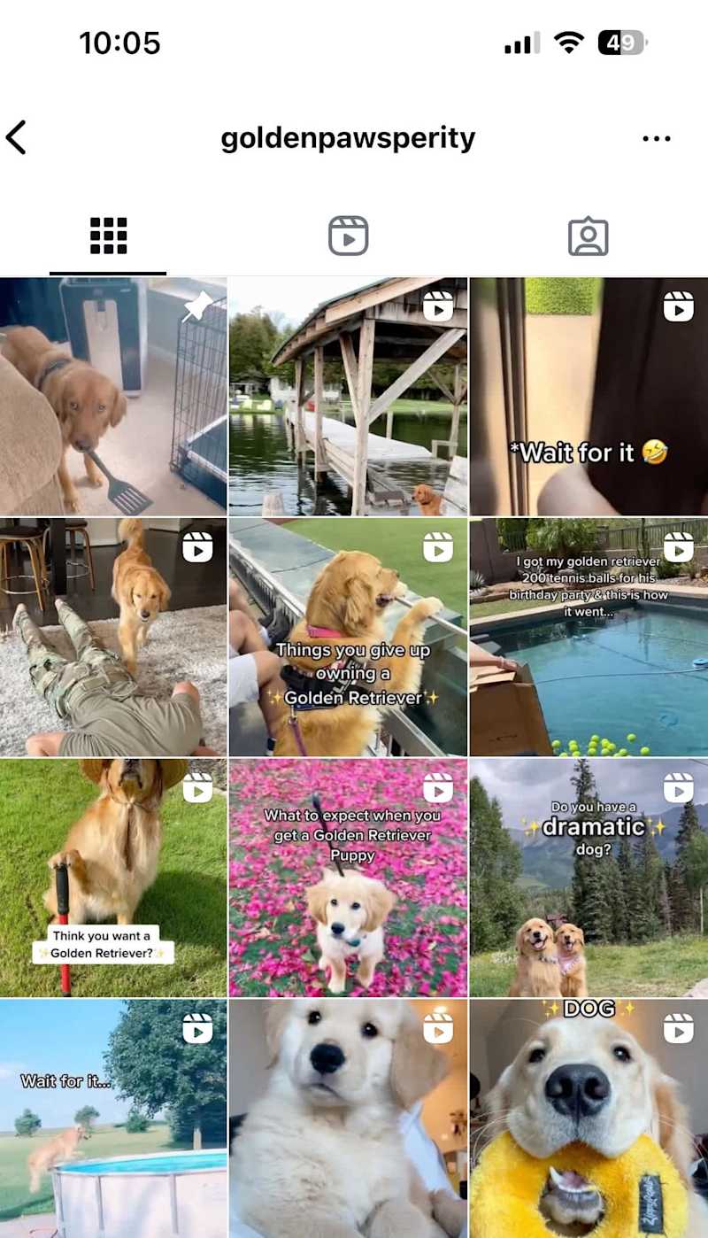 Cover image for Pinterest and Instagram 