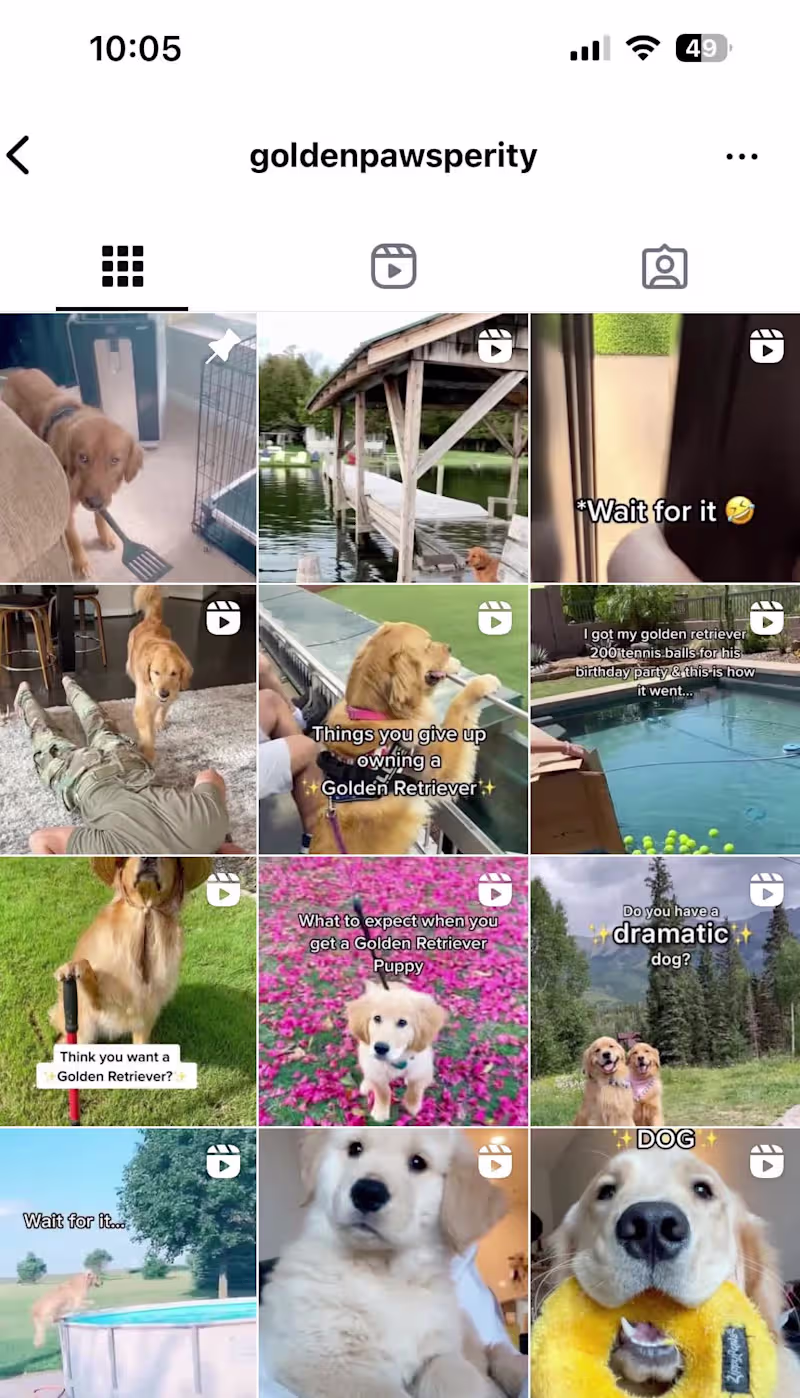 Cover image for Pinterest and Instagram 