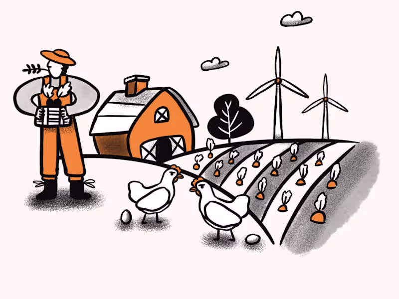 Cover image for Contribution to a Sustainable Agriculture and Farming report