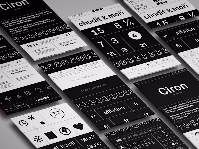 Cover image for TYPE ONEPAGE
