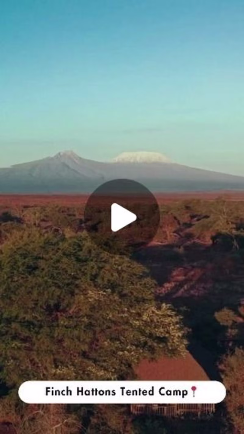 Cover image for Reels created by me