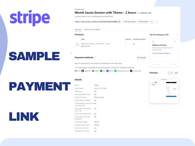 Cover image for Stripe Payment Link Setup | Online Checkout Integration