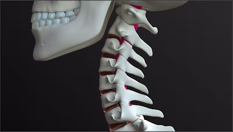 Cover image for This project presents an academically accurate 3D simulation...