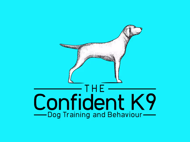 Cover image for Graphic Designer