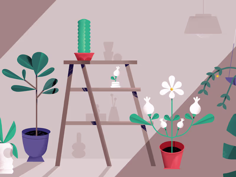 Cover image for Seed & Stem