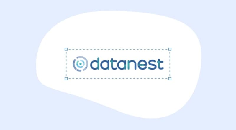 Cover image for Datanest Case Study | What IF Web