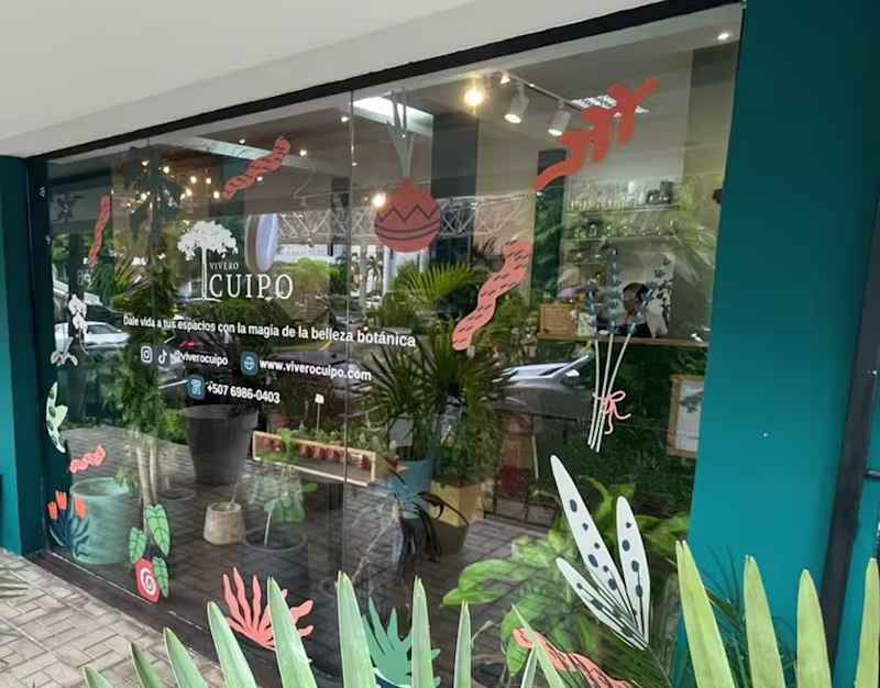Cover image for Window Display Design and Direction for Flower and Plant Store