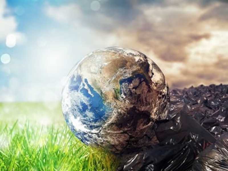 Cover image for Blog and Article Writing