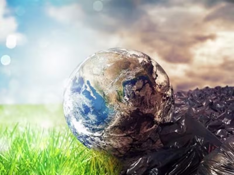 Cover image for Blog and Article Writing