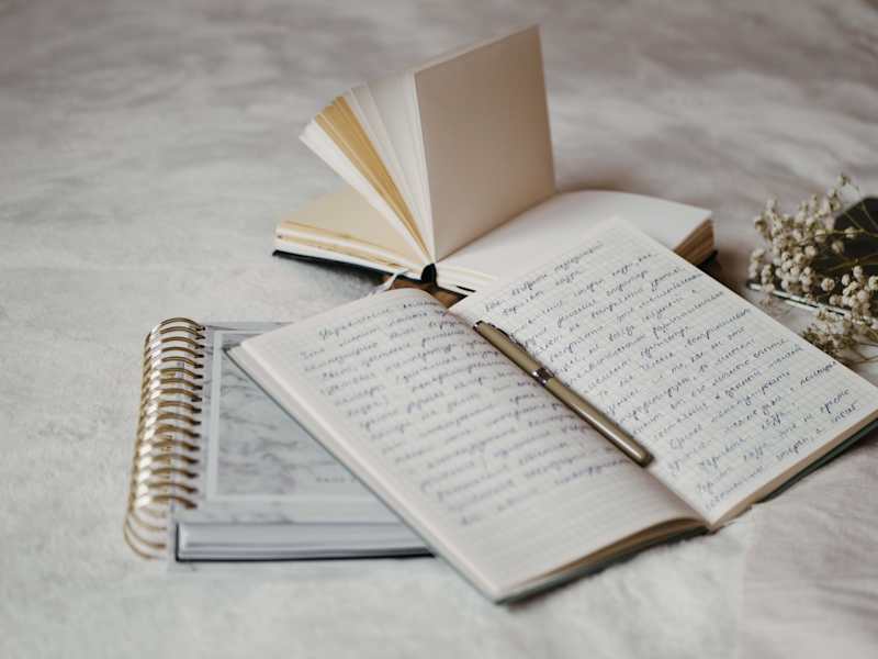 Cover image for The Pen & The power of the written word.