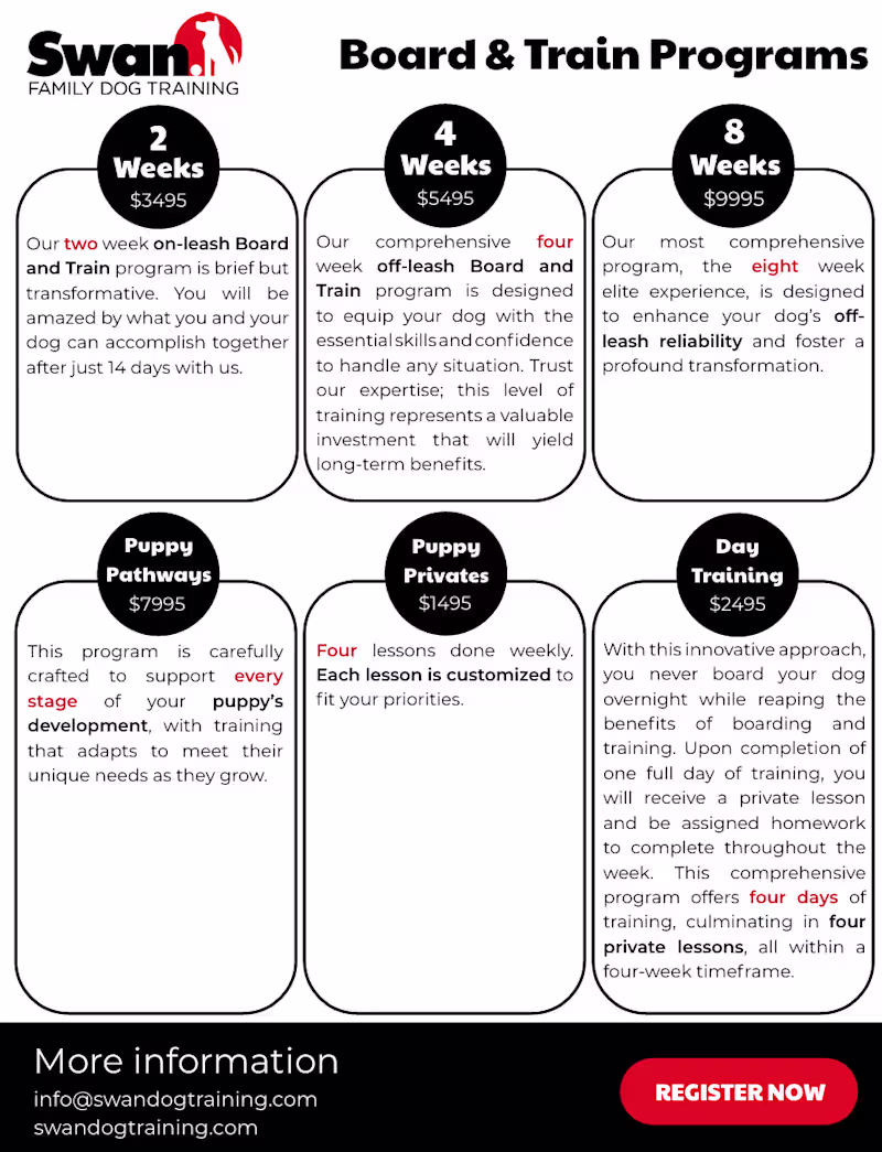 Cover image for Flyer Design for Dog Training & Boarding Business