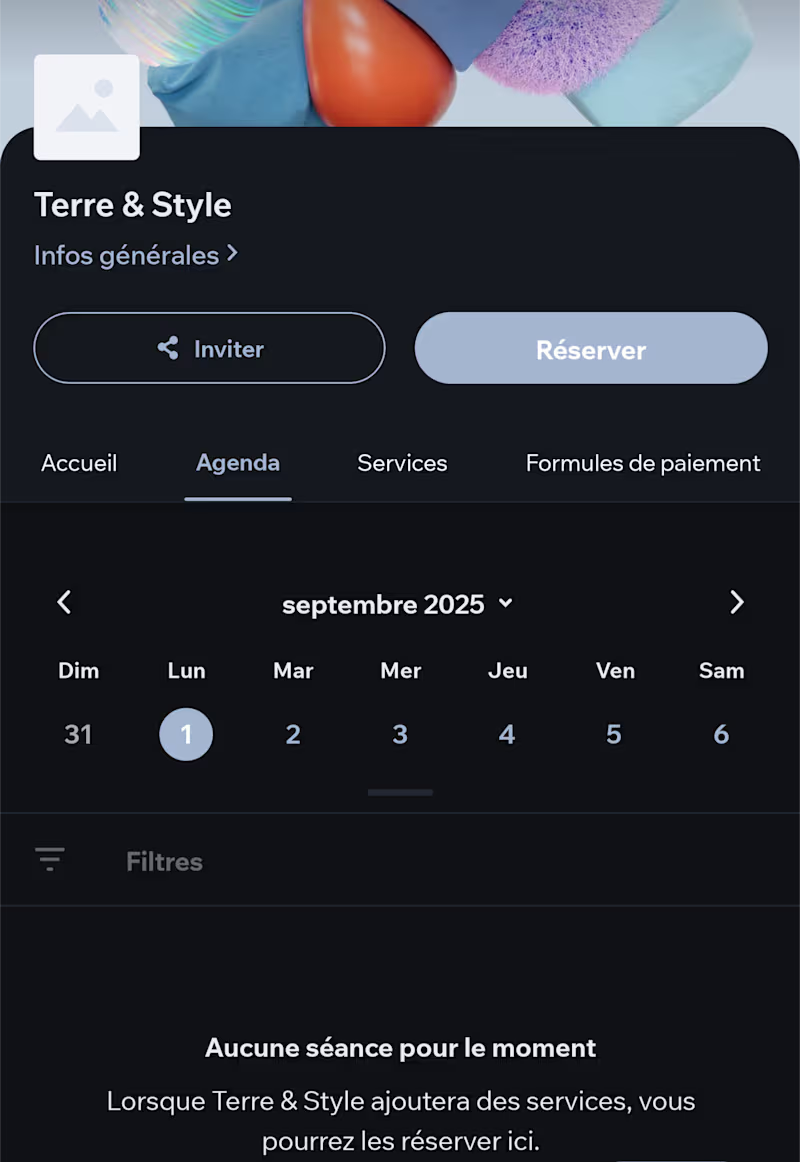 Cover image for Terre & style 