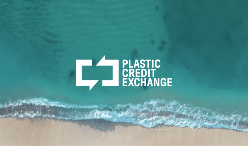 Cover image for Plastic Credit Exchange: Brand Identity