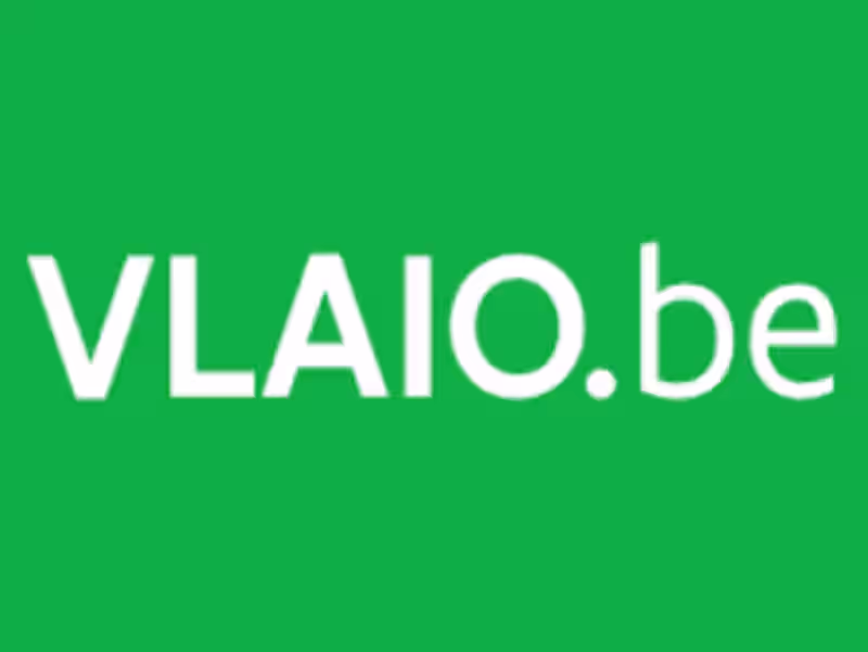 Cover image for Back End Developer – VLAIO