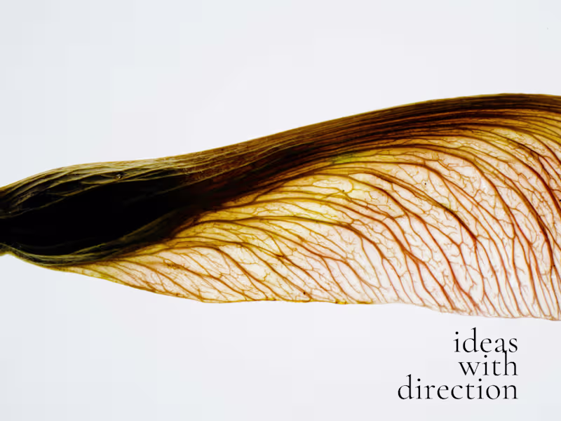 Cover image for Brand Strategy & Brand Bible