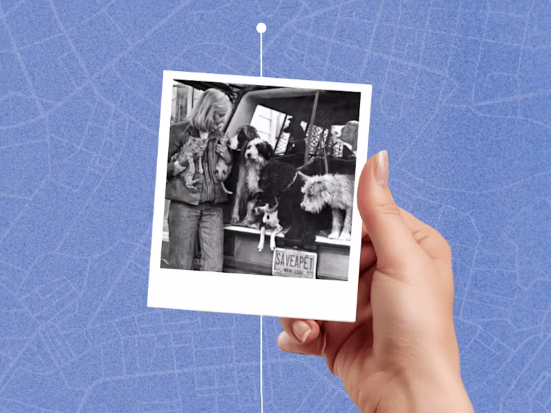 Cover image for Take a Trip Down Memory Lane for North Shore's 80th Anniversary