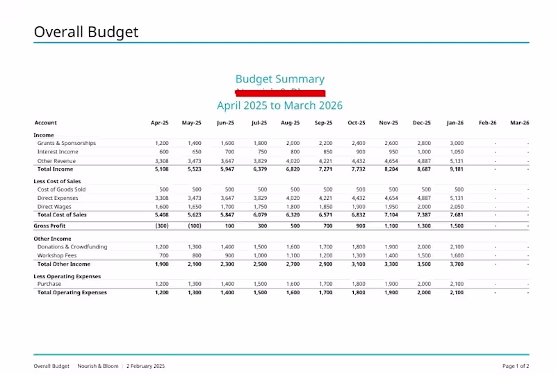 Cover image for Budget report