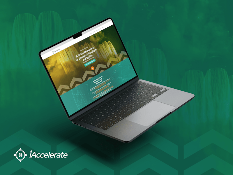 Cover image for iAccelerate