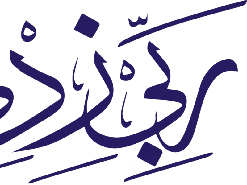 Cover image for Rabbizidniilma