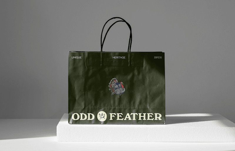 Cover image for Odd Feather