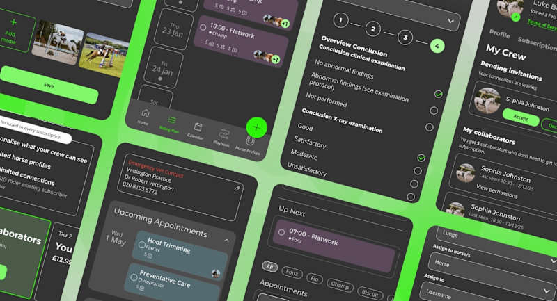 Cover image for BIG Rider – Pro-Level Native App for Managing Showjumping Teams