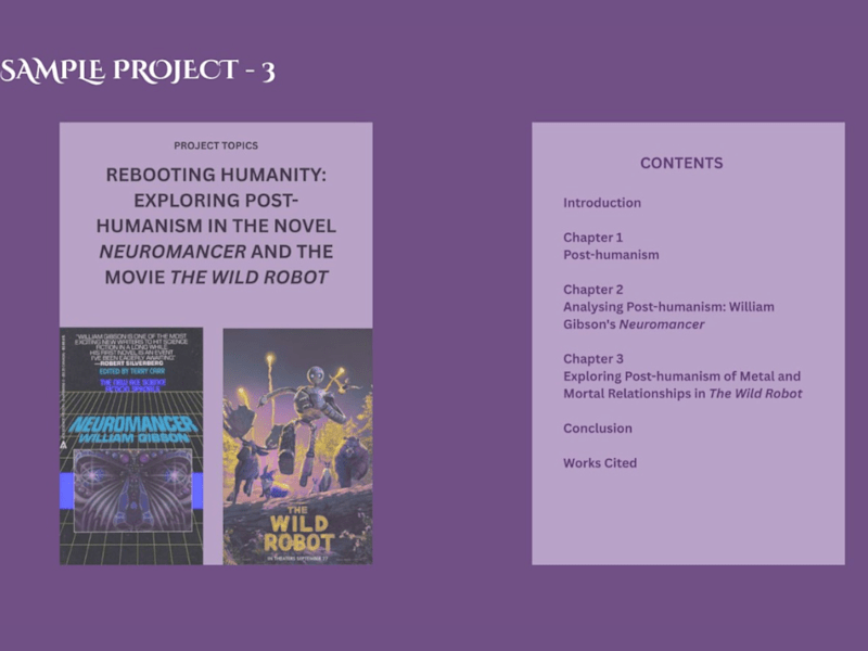 Cover image for Customized Academic Projects