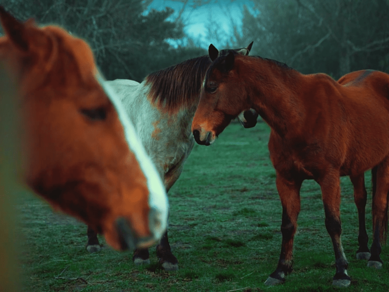 Cover image for Coors Light Comm VO - YouTube