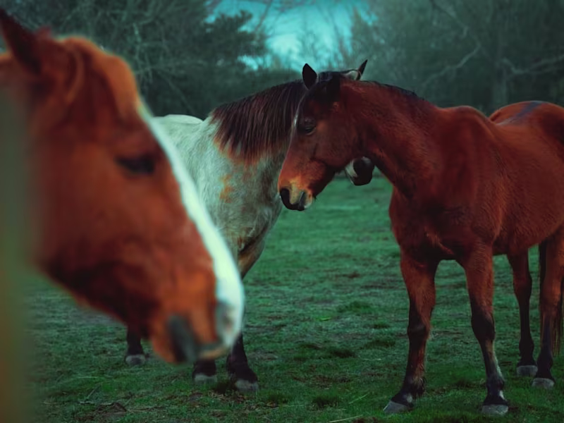 Cover image for Coors Light Comm VO - YouTube
